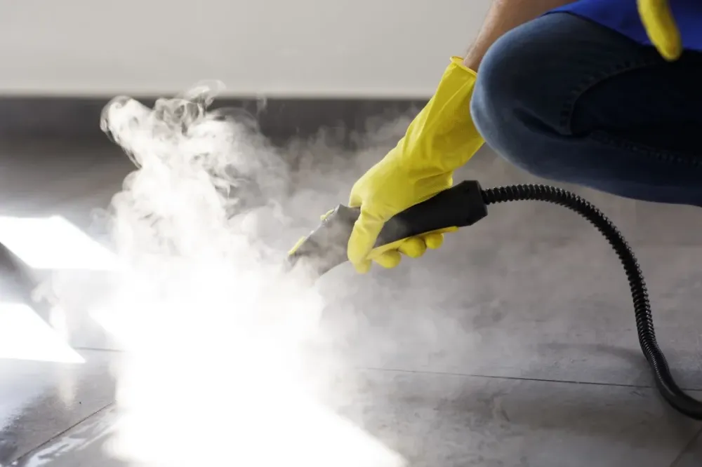 professional-cleaning-service